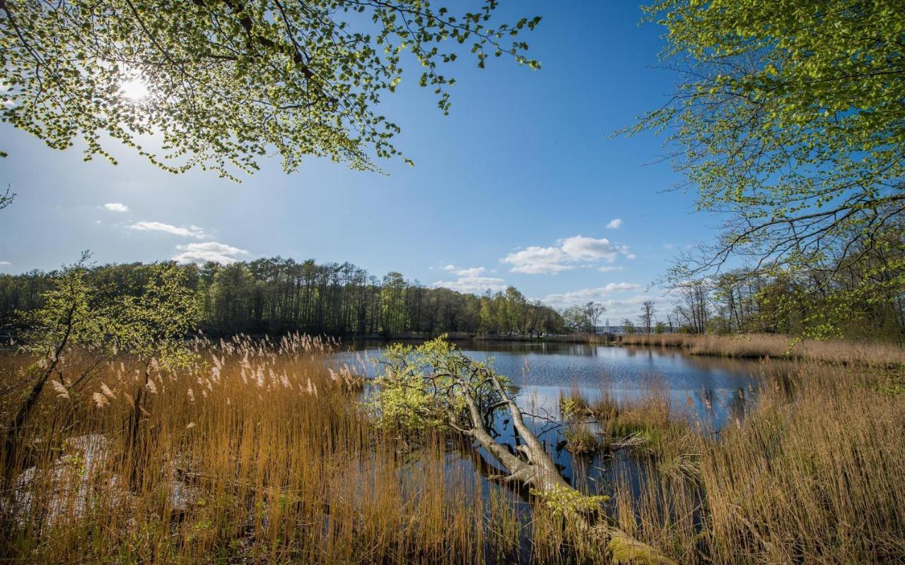 Ferienwohnung Viola Glücksburg Esterno foto